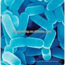 Futterzusatzstoffe Bacillus Subtilis Bacillus Thuringiensis
